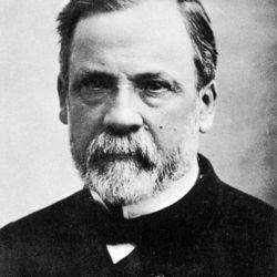 Louis Pasteur