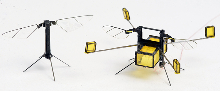 robot arı 11