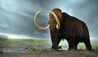 1024px-woolly_mammoth