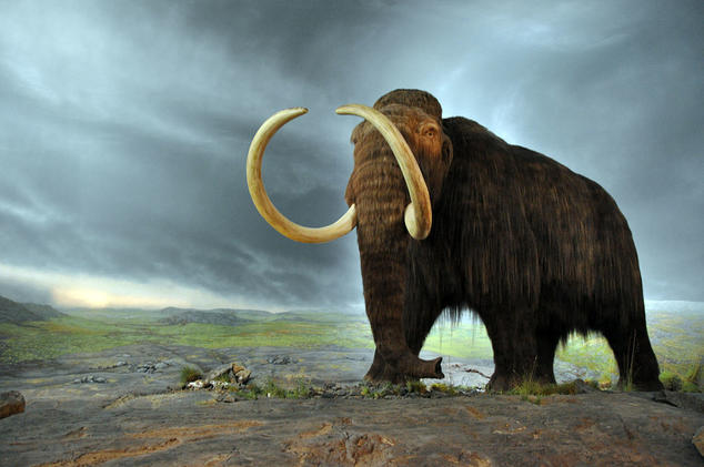1024px-woolly_mammoth