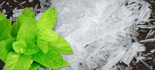 Mentol Nedir? Mentol Nerelerde Kullanılır?