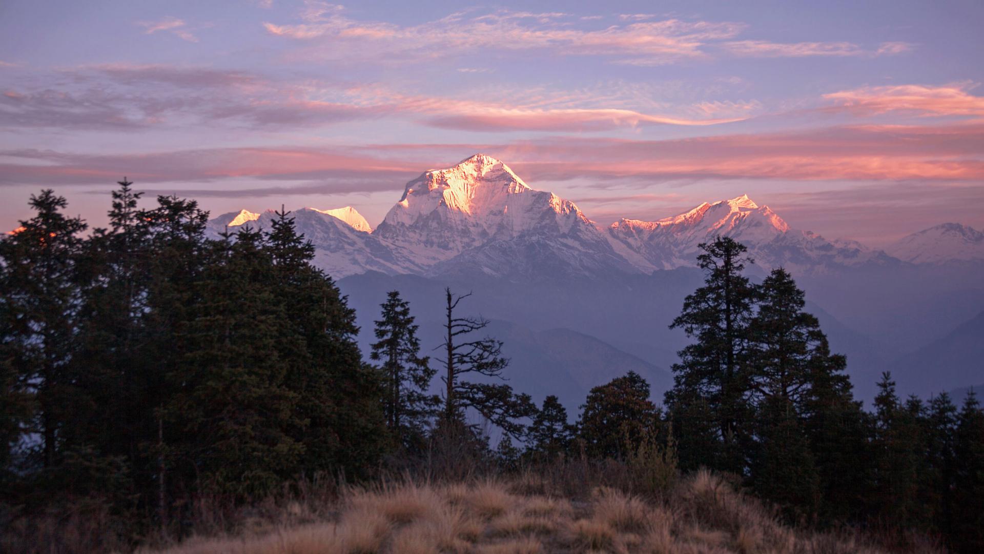 DHAULAGIRI dağı