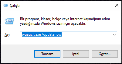 runtime error 217