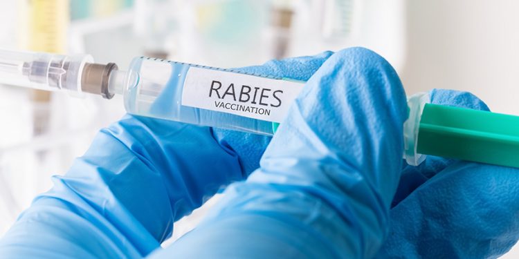 Kuduz Aşısını Bulan Fransız Bilim İnsanı: Louis Pasteur
