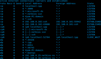 netstat nedir